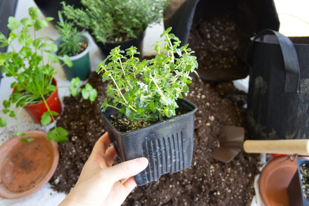 土の処分や回収は不用品回収本舗へお任せください 不用品回収本舗